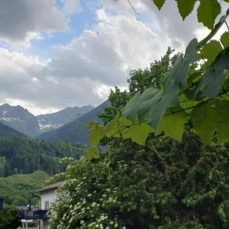 Zur Weinlaube *