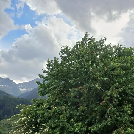 Zur Weinlaube Διαμέρισμα